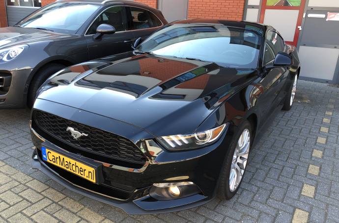 Showroom Import Auto's